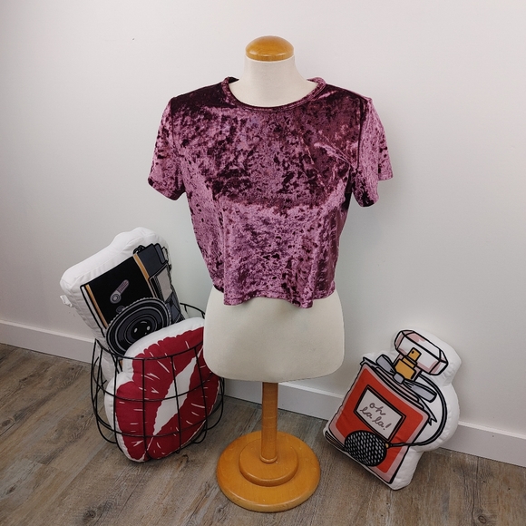 ARDENE | Purple Velvet Short Sleeve Crop Top - Picture 1 of 7
